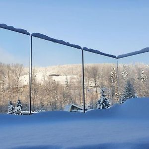 Apartament z 1 sypialnią